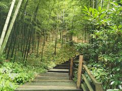 -天目湖山水园