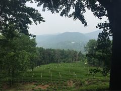 花家山庄-杭州花家山庄
