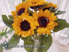 -双季花艺园艺市场(浦东店)