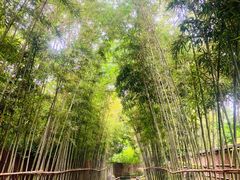 -新荣记(西溪湿地店)