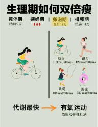 -Fundi张玉珊修身堂·indiba·BTL科技瘦身