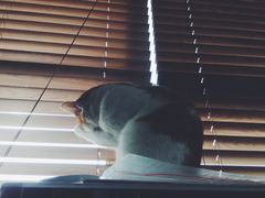 -味千拉面(光启城时尚购物中心店)