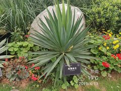 -东莞植物园