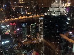 -The lounge 柏悦酒店大堂酒廊(上海环球金融中心店)