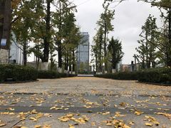 -两江幸福广场