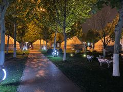 -九十九顶毡房(阜石路店)