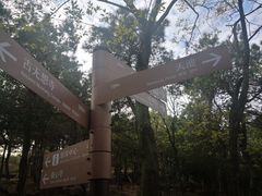 -南京市无想山景区