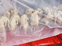 -胖子菜馆(隆昌路店)