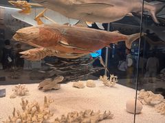 -国家自然博物馆