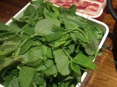豆苗-老天桥蛙炉火锅(姑苏总店)