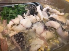 招牌石锅鱼-百乐饭店