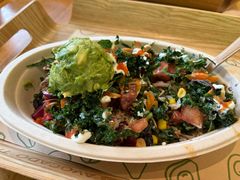 -油梨树AVOCADO TREE(望京店)