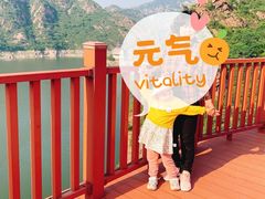 -燕塞湖鸟语林景区