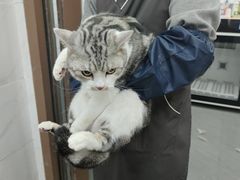 -瑞鹏宠物医院·超声·骨科·奇麟分院(蜀都万达店)