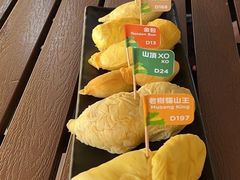-榴莲BB 四季果园