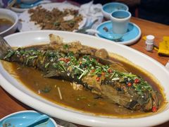 -老长春肉馆(创业大街店)