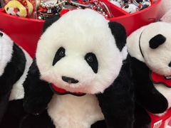 -福田卓悦INTOWN购物中心