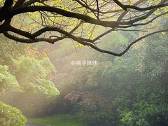 -桃花岛景观公园