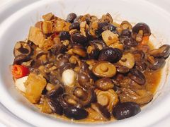 小蘑菇红烧肉-徐记海鲜(梅溪新天地店)