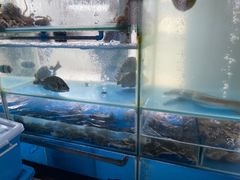 -海月湾海景餐厅( 嵊泗本地老字号店)