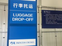 -吴淞口国际邮轮码头-停车场