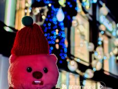 -和平宾馆(王府井店)