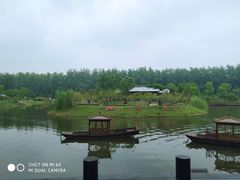 -合肥滨湖国家森林公园