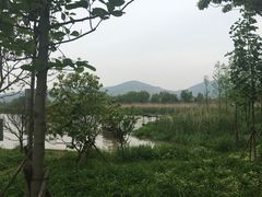 -长兴太湖图影湿地文化园