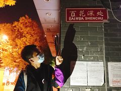-百花深处胡同