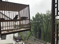 -煮雨小筑(斜塘老街店)