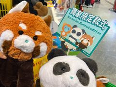 -石排湾郊野公园