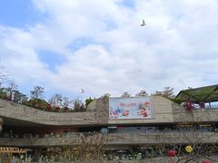 -星巴克臻选(深圳龙城广场店)