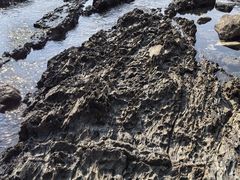 -西涌国际滨海旅游区