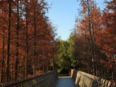 -福道