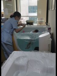 -明宇集团·积木枝芽母婴健康管理中心(天府店)