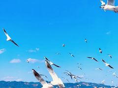 -滇池海埂公园