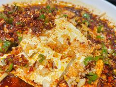 油泼豆腐-小杨烤肉(朱雀店)