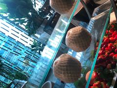 -深圳皇庭V酒店