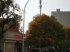 -好利来(槐中店)