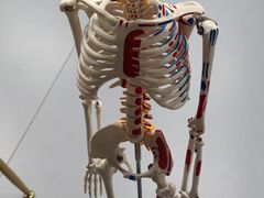 -Orenda健身工作室(平山店)