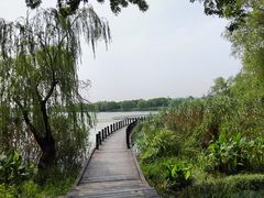 -渤公岛生态公园