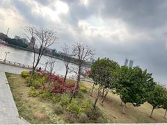 -洲头咀公园