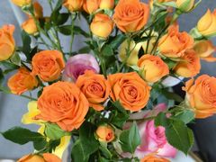 -循礼门鲜花花市(武汉循礼门店)