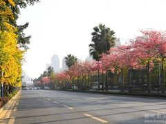 -柳侯公园