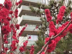 -滇釜火锅·能喝汤的火锅(车公庄店)