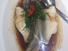 -至潮餐厅精致粤菜·活鲈鱼·走地鸡(珠江新城店)