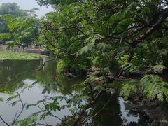 -常熟方塔园