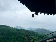 -杭州少年儿童公园