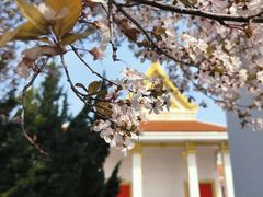 -洛阳白马寺