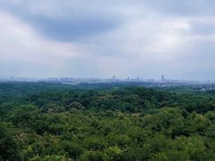 -南京老山国家森林公园